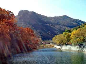 加导师qq赚钱彩票